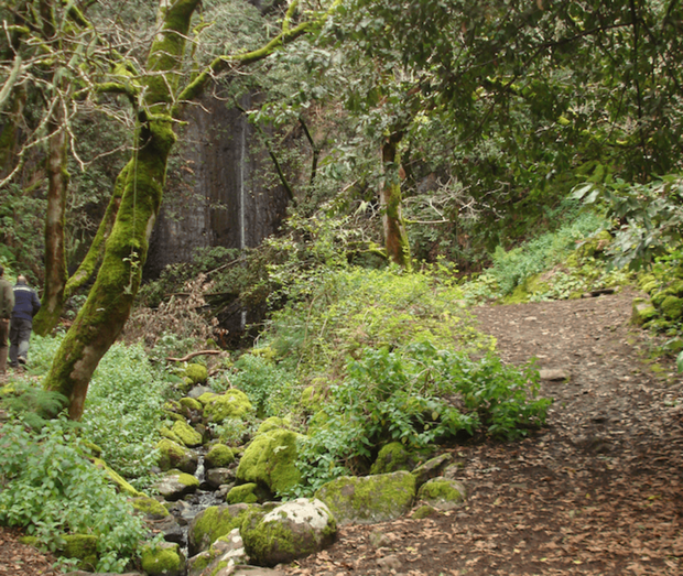 Discurre entre la carretera Valleseco-Artenara y acaba en el pago de Valsendero (Foto TA)